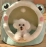 Cat's Nest Dog's Nest Small Dog Teddy Pet Dog Supplies Pet Supplies Pet Nest