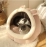 Cat's Nest Dog's Nest Small Dog Teddy Pet Dog Supplies Pet Supplies Pet Nest