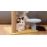 Cactus small cat climbing frame, kitten scratching post, cat nest, cat ball integrated non occupying frame, cat toy collection
